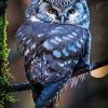 Blue Owl Diamond Painting