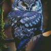 Blue Owl Diamond Painting