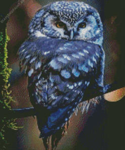 Blue Owl Diamond Painting