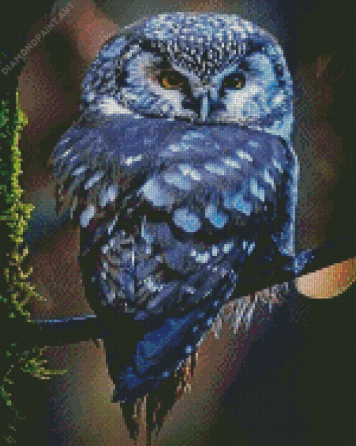 Blue Owl Diamond Painting