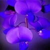 Blue Purple Orchids Diamond Paintings