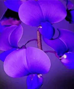 Blue Purple Orchids Diamond Paintings