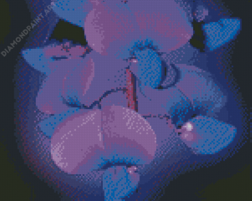 Blue Purple Orchids Diamond Paintings