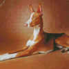 Brown Podenco Diamond Painting