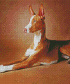 Brown Podenco Diamond Painting