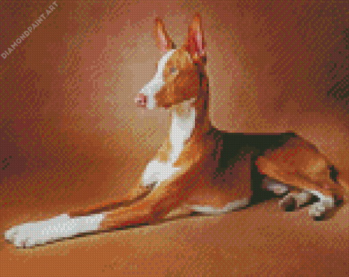 Brown Podenco Diamond Painting