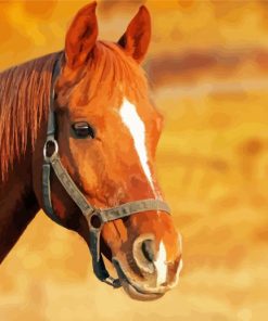 Brown Horse Head Diamond Painting