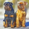 Brussels Griffon Puppies Diamond Paintings