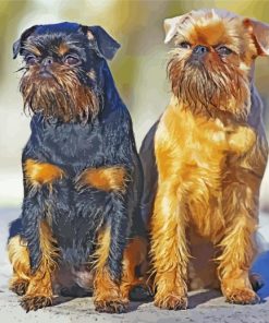 Brussels Griffon Puppies Diamond Paintings