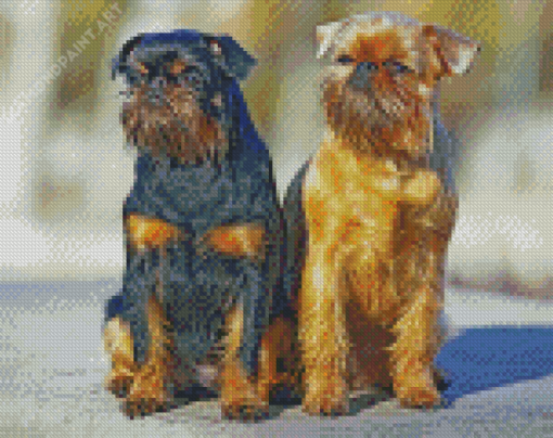 Brussels Griffon Puppies Diamond Paintings