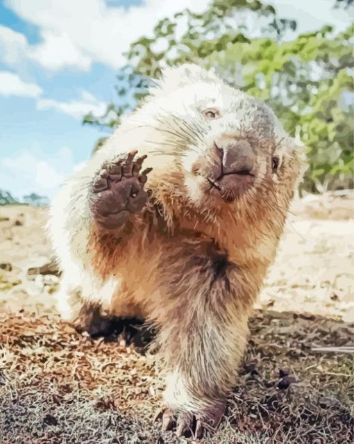 Cute Wombat Diamond Painting