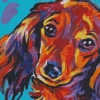 Dachshund Dog Colorful Diamond Paintings