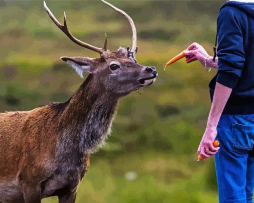 Deer Feeding Diamond Painting