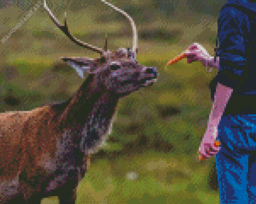 Deer Feeding Diamond Painting