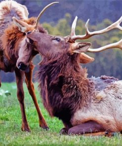 Elks Animals Diamond Painting