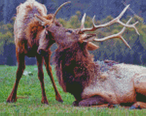 Elks Animals Diamond Painting