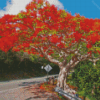 Flamboyant Tree Diamond Painting