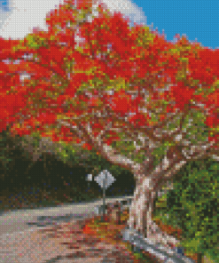 Flamboyant Tree Diamond Painting