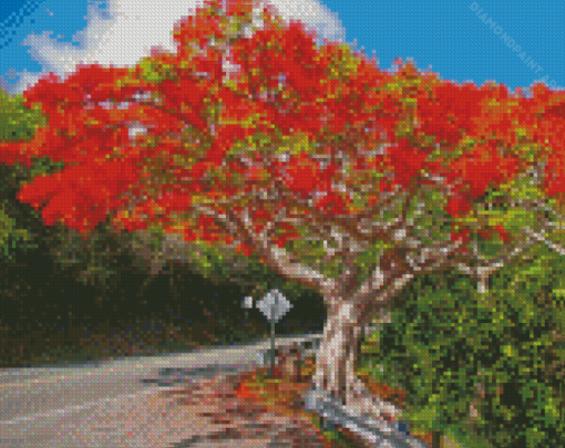 Flamboyant Tree Diamond Painting