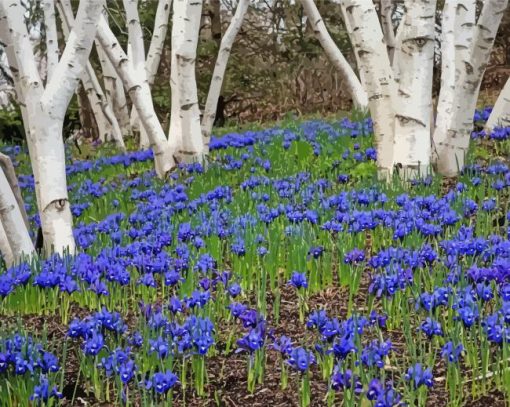 Forest With Bluebells Diamond Painting