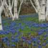 Forest With Bluebells Diamond Painting