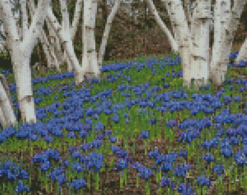 Forest With Bluebells Diamond Painting