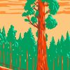 Giant Sequoia Tree Diamond Painting