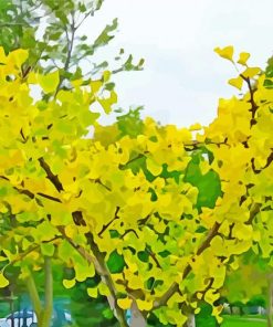 Ginkgo Tree Diamond Paintings