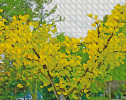 Ginkgo Tree Diamond Paintings