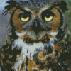 Horned Owl Bird Animal Diamond Painting