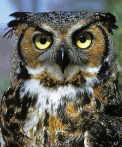 Horned Owl Bird Animal Diamond Painting