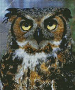 Horned Owl Bird Animal Diamond Painting