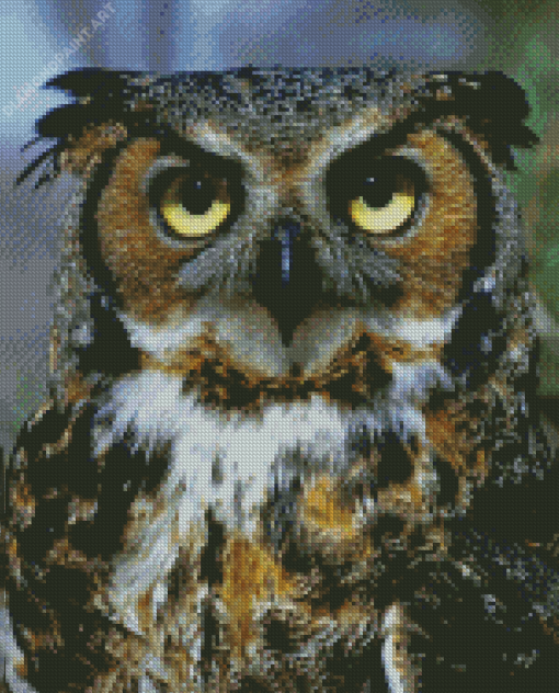 Horned Owl Bird Animal Diamond Painting