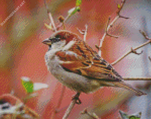 House Sparrow On A Branch Diamond Painting