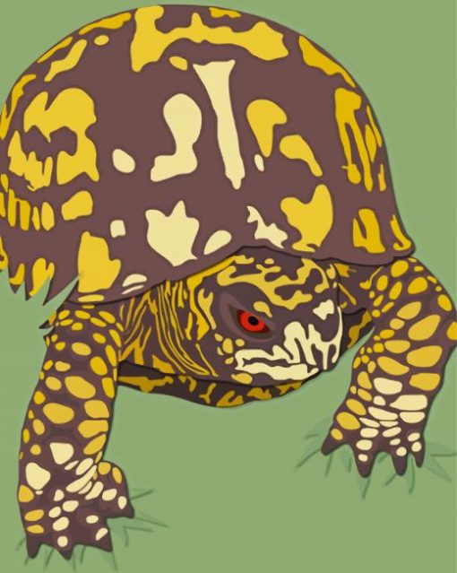 Illustration Box Turtle Diamond Painting