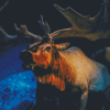 Illustration Moose Diamond Paintings