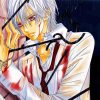 Kiryu Zero Vampire Knight Diamond Paintings Diamond Painting