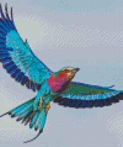 Lilac Breasted Bird Diamond Painting