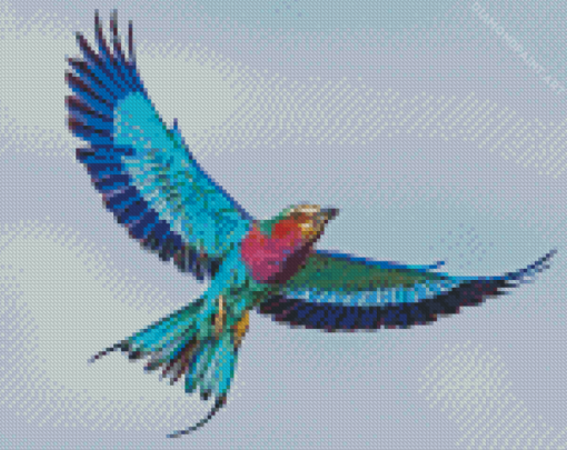 Lilac Breasted Bird Diamond Painting