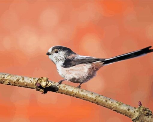 Long Tailed Tit Bird On A Branch Diamond Painting