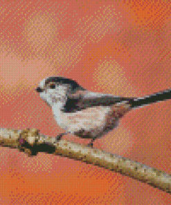 Long Tailed Tit Bird On A Branch Diamond Painting