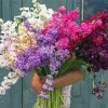 Man Holding Stocks Flowers Diamond Paintings