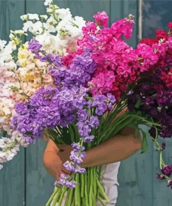 Man Holding Stocks Flowers Diamond Paintings