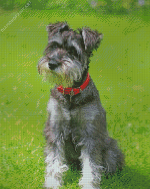 Miniature Schnauzer Diamond Painting