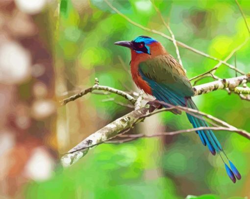 Motmot Bird Animal Diamond Painting