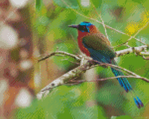 Motmot Bird Animal Diamond Painting