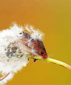 Mouse And Dandelion Plant Diamond Painting