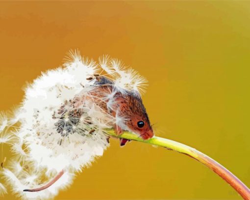 Mouse And Dandelion Plant Diamond Painting