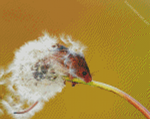 Mouse And Dandelion Plant Diamond Painting