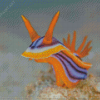 Nudibranch Sea Slug Diamond Paintings